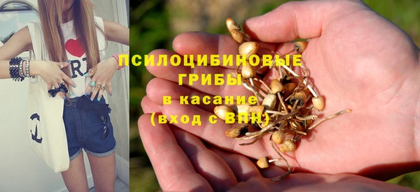 таблы Алзамай